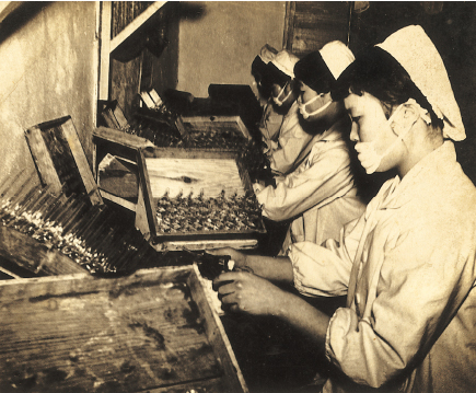 Early age of Ampoule Infusion (Gunsan Era)