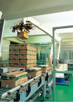Packing Machinery